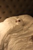 resIMG_20180208_234504_9339.JPG
